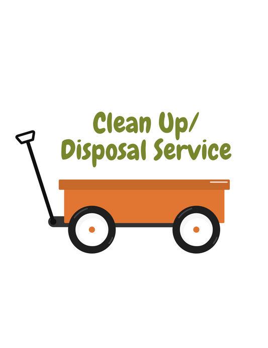Pumpkin Clean Up